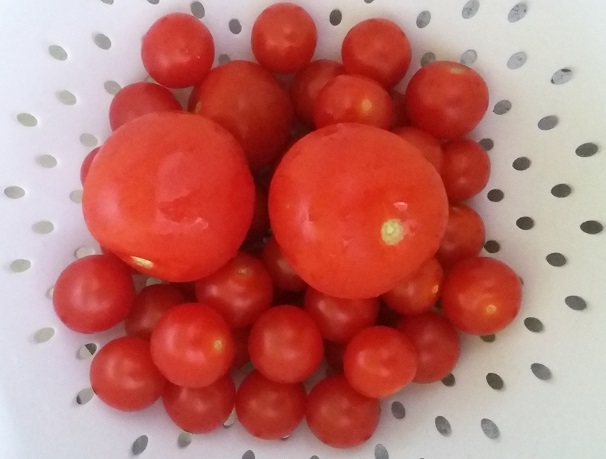 Supplement dinsdag Piraat tomaten in een zeef - fitgaaf